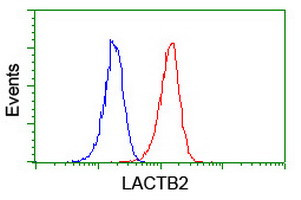 LACTB2 Antibody in Flow Cytometry (Flow)