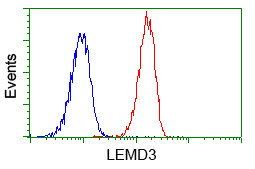 LEMD3 Antibody in Flow Cytometry (Flow)