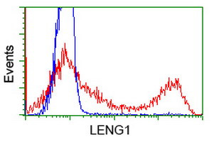 LENG1 Antibody in Flow Cytometry (Flow)