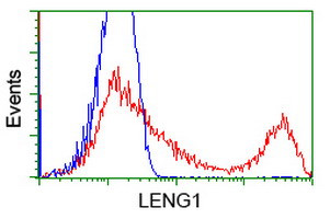 LENG1 Antibody in Flow Cytometry (Flow)