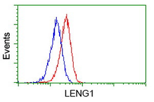 LENG1 Antibody in Flow Cytometry (Flow)