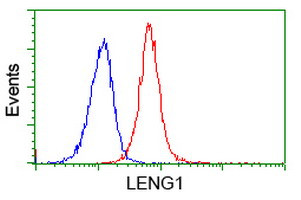 LENG1 Antibody in Flow Cytometry (Flow)