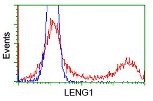 LENG1 Antibody in Flow Cytometry (Flow)