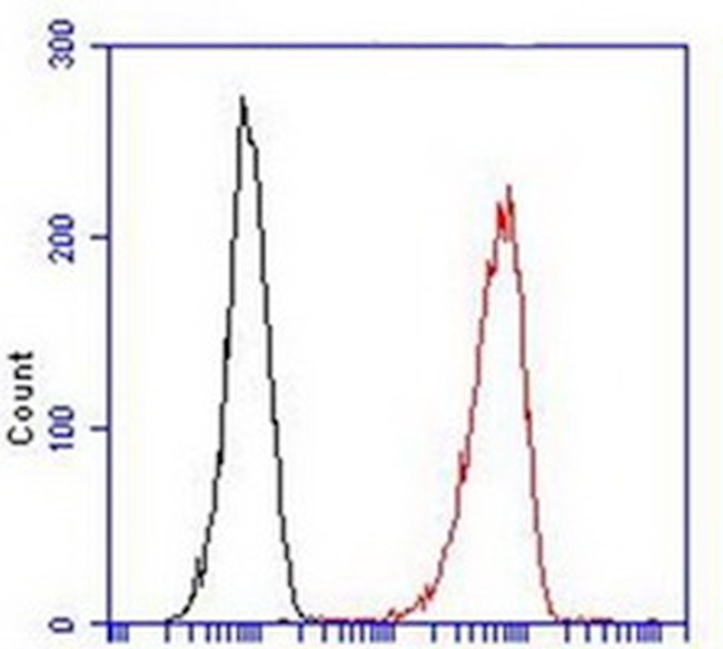 LGR5 Antibody in Flow Cytometry (Flow)