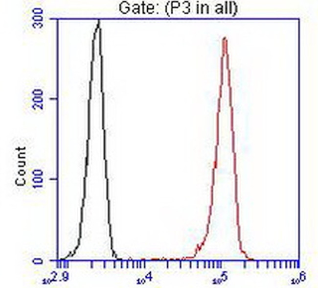 LGR5 Antibody in Flow Cytometry (Flow)