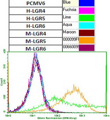 LGR5 Antibody in Flow Cytometry (Flow)