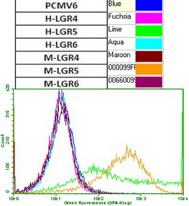 LGR5 Antibody in Flow Cytometry (Flow)