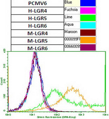 LGR5 Antibody in Flow Cytometry (Flow)