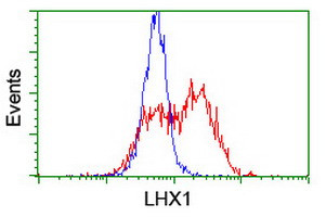 LHX1 Antibody in Flow Cytometry (Flow)