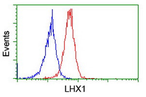 LHX1 Antibody in Flow Cytometry (Flow)