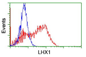 LHX1 Antibody in Flow Cytometry (Flow)