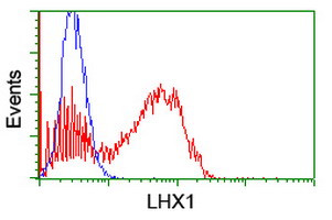 LHX1 Antibody in Flow Cytometry (Flow)