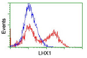 LHX1 Antibody in Flow Cytometry (Flow)