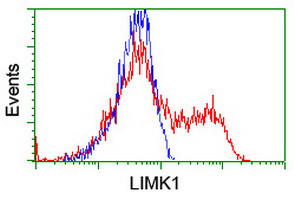 LIMK1 Antibody in Flow Cytometry (Flow)