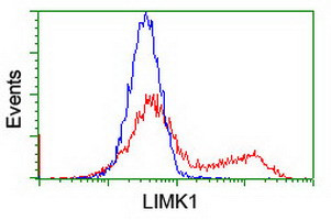 LIMK1 Antibody in Flow Cytometry (Flow)