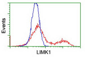 LIMK1 Antibody in Flow Cytometry (Flow)