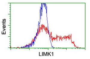 LIMK1 Antibody in Flow Cytometry (Flow)