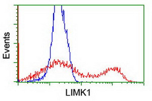 LIMK1 Antibody in Flow Cytometry (Flow)