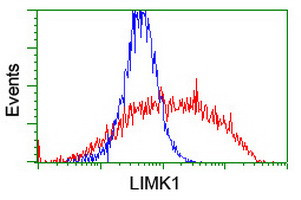 LIMK1 Antibody in Flow Cytometry (Flow)