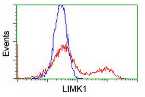 LIMK1 Antibody in Flow Cytometry (Flow)