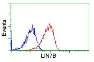 LIN7B Antibody in Flow Cytometry (Flow)