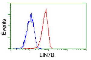 LIN7B Antibody in Flow Cytometry (Flow)