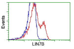 LIN7B Antibody in Flow Cytometry (Flow)