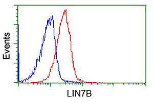 LIN7B Antibody in Flow Cytometry (Flow)