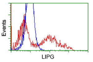 LIPG Antibody in Flow Cytometry (Flow)