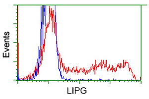 LIPG Antibody in Flow Cytometry (Flow)