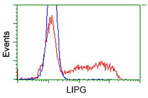 LIPG Antibody in Flow Cytometry (Flow)