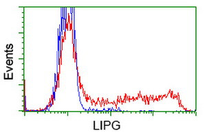 LIPG Antibody in Flow Cytometry (Flow)