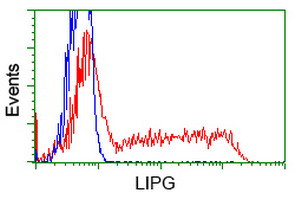 LIPG Antibody in Flow Cytometry (Flow)