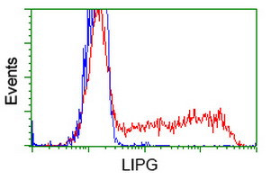 LIPG Antibody in Flow Cytometry (Flow)