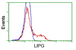 LIPG Antibody in Flow Cytometry (Flow)