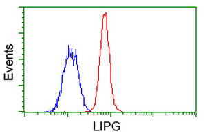 LIPG Antibody in Flow Cytometry (Flow)