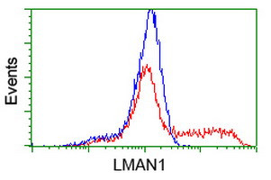 LMAN1 Antibody in Flow Cytometry (Flow)