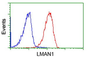 LMAN1 Antibody in Flow Cytometry (Flow)