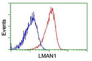 LMAN1 Antibody in Flow Cytometry (Flow)