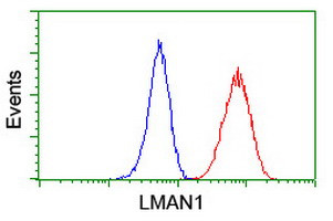 LMAN1 Antibody in Flow Cytometry (Flow)