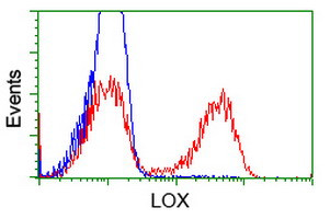 LOX Antibody in Flow Cytometry (Flow)