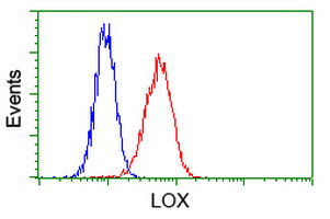 LOX Antibody in Flow Cytometry (Flow)