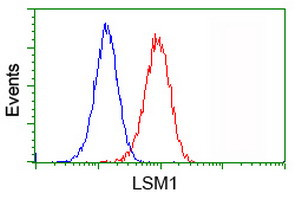 LSM1 Antibody in Flow Cytometry (Flow)