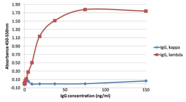 Human Lambda Light Chain Secondary Antibody in ELISA (ELISA)