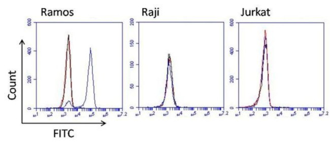 Human Lambda Light Chain Secondary Antibody in Flow Cytometry (Flow)