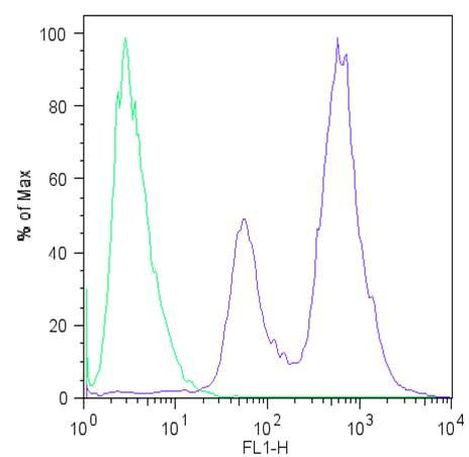 LIN28A Antibody in Flow Cytometry (Flow)