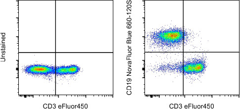 CD19 Antibody in Flow Cytometry (Flow)