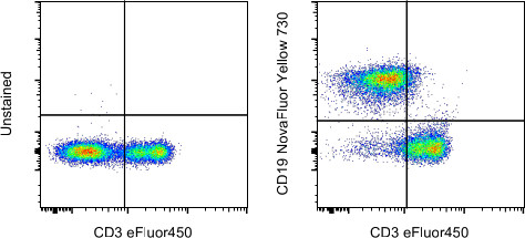 CD19 Antibody in Flow Cytometry (Flow)