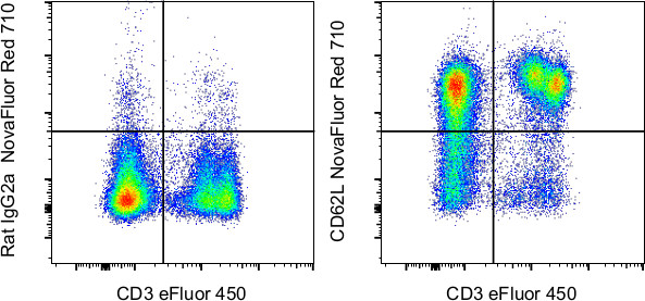 CD62L (L-Selectin) Antibody in Flow Cytometry (Flow)