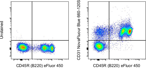 CD31 (PECAM-1) Antibody in Flow Cytometry (Flow)